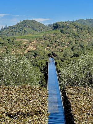 Promontory Winery by null