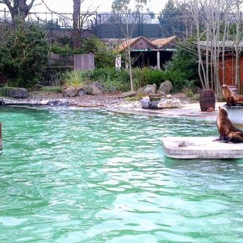 Dublin Zoo - Zoos Near Me - Dublin, D Dublin Zoo - Zoos Near Me - Dublin, D