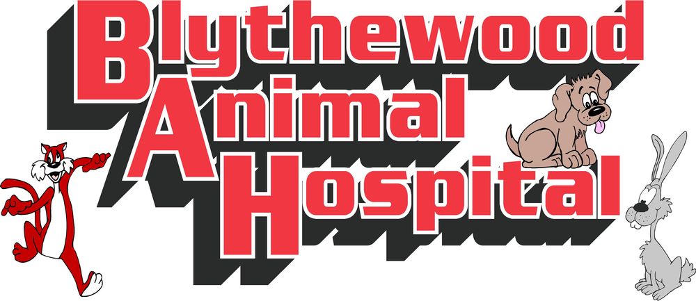 Blythewood Animal Hospital - pet boarding facility in Blythewood, SC