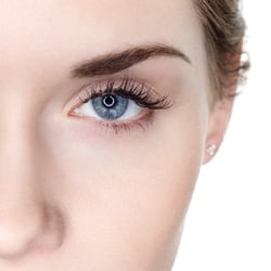 Pandora's Lashes - Classic Lashes by Pandoras Lashes