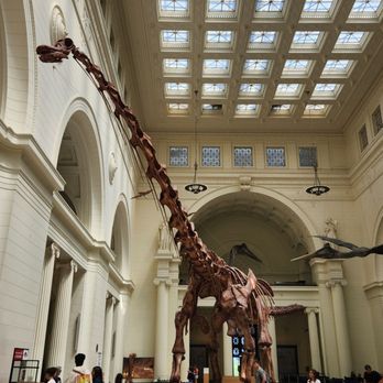 Field Museum - Museums Near Me - Chicago, Illinois Field Museum - Museums Near Me - Chicago, Illinois