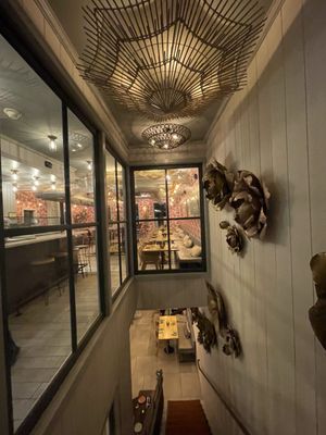 Elephant and The Dove by null