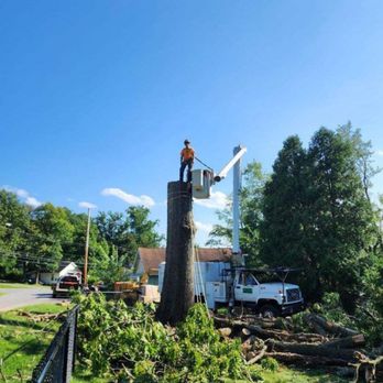 Brumbaugh Tree Removal and Landscaping - Tree Services Near Me