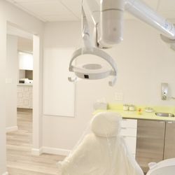 Zeynep Ulku DDS, DMSc