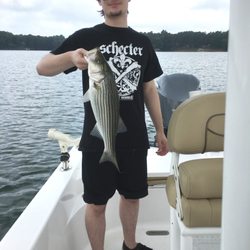 Catching Not Fishing Guide Service - Lake Lanier striper caught at 40' depth above timber