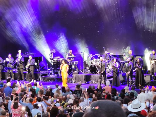 Synovus Bank Amphitheater at Chastain Park by null