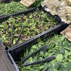 Marché Provencal