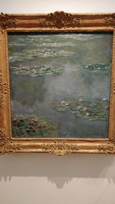 Pola Museum of Art by null