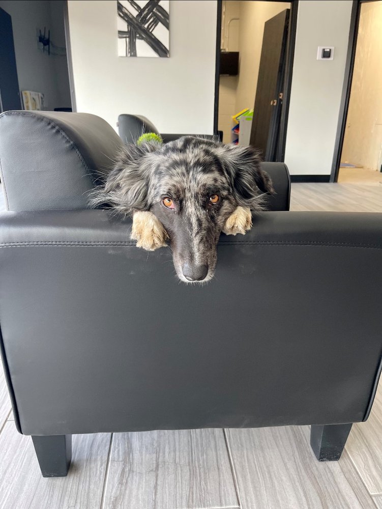 MOORE TIRES Updated August 2024 11 Photos 1315 N Galena Ave