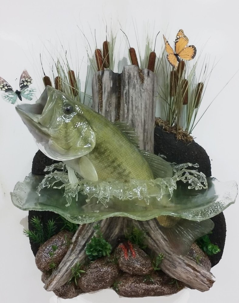 Natures Wildlife Artist Studio of Taxidermy - taxidermy in Dandridge, TN