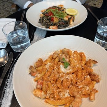 OLIVIA - TORTIGLIONI SQUID INK CASARECCE - Italian Near Me - Tampa, Florida