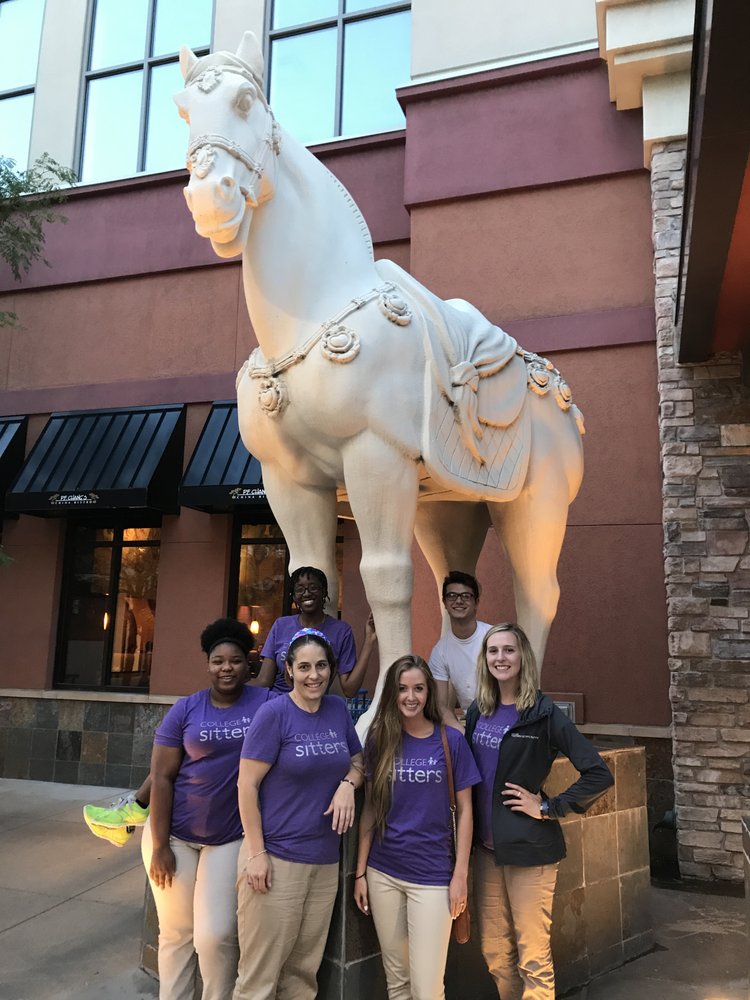 College Nannies, Sitters, and Tutors - childcare center in Peoria, IL