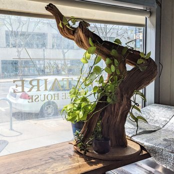 Voltaire Coffee Roasters - Plant art - Coffee & Tea Near Me - San Jose, California