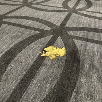 909 Walnut - Dog feces in public area. Not cleaned up for three days. - Apartments Near Me - Kansas City, Missouri