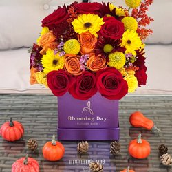 Blooming Day Flowers