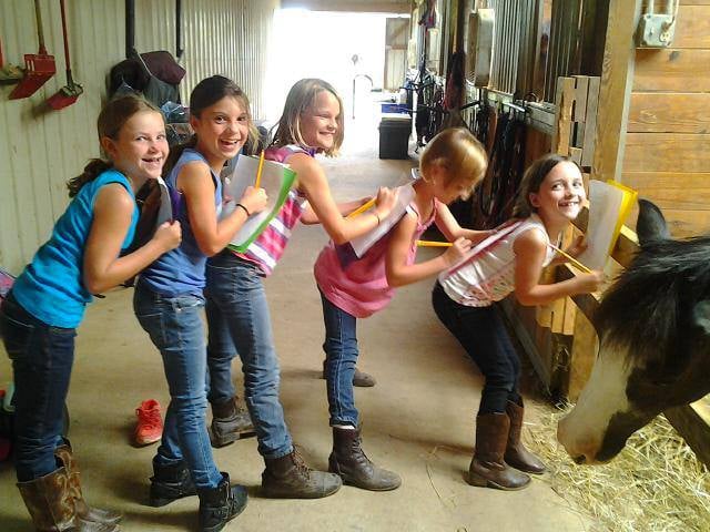 Zephyr's Way Stable - equestrian in Moseley, VA