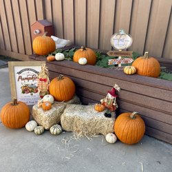 Vineyard Crossing 1 Preschool - Fall photobooth setup