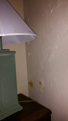 The Comanche by null