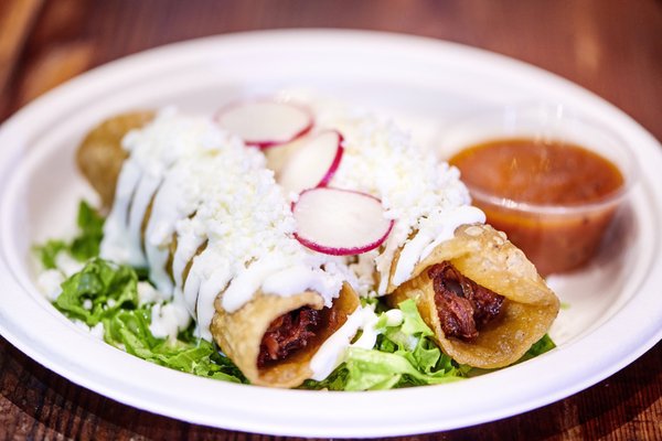 BajoTaco at The Country Music Hall of Fame by null