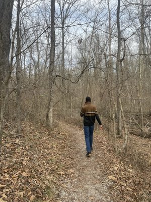 Giant City State Park by null