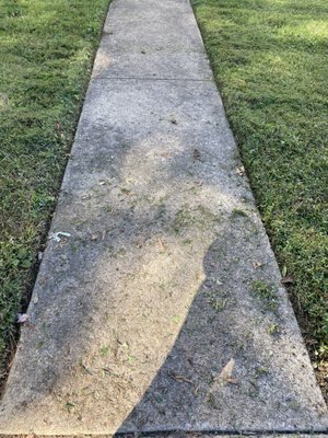 Colony Management Corp