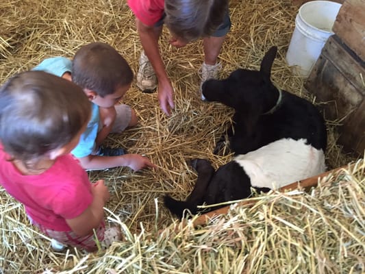 Grandpa Tiny's Farm by null