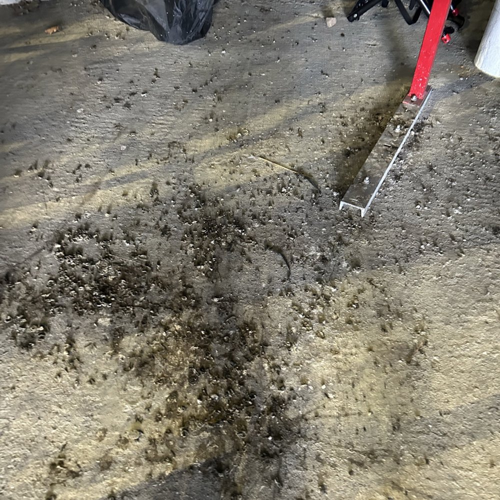 Bike storage is always completely covered in bird shit. This picture doesn't begin to bring justice to how it looks in reality. Bike storage is always completely covered in bird shit. This picture doesn't begin to bring justice to how it looks in reality.