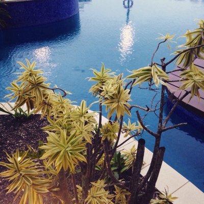 Pullman Cairns International by null