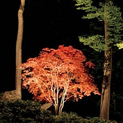 Rock Creek Irrigation - Landscape lighting will give life to your yard at night.