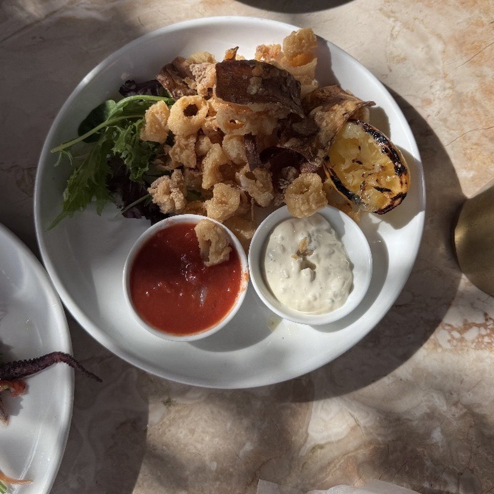 Elia - Fried calamari - Italian Near Me - Miami, Florida Elia - Fried calamari - Italian Near Me - Miami, Florida