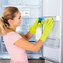 Dust Queen Maid Service