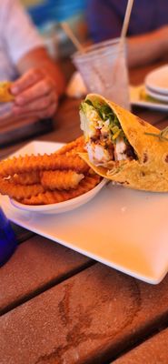 Coconuts on the Beach by null