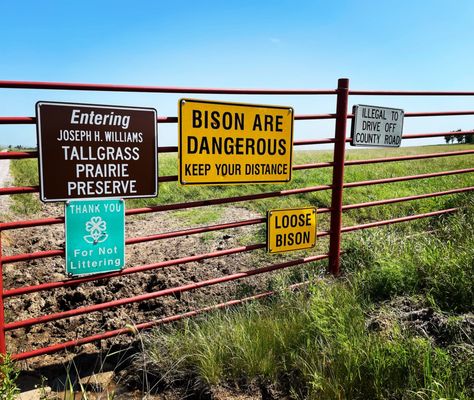 Joseph H. Williams Tallgrass Prairie Preserve by null