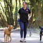 Photo of Fetch! Pet Care