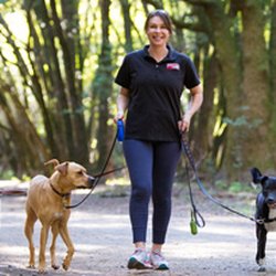 Fetch! Pet Care