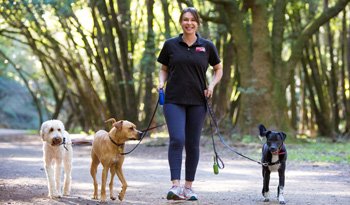 Fetch! Pet Care - pet boarding facility in Albuquerque, NM