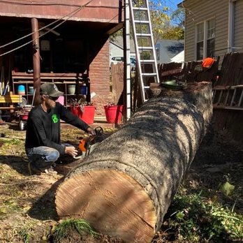 Greener Earth Tree Services - Tree Services Near Me Greener Earth Tree Services - Tree Services Near Me