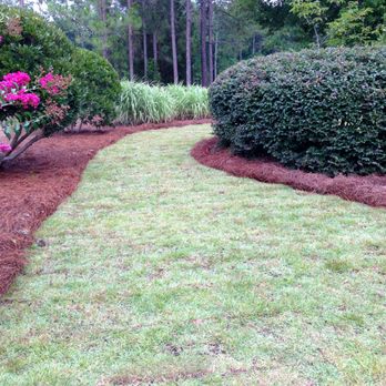 Lion In The Grass - a path through a garden - Landscaping Near Me - Leland, North Carolina Lion In The Grass - a path through a garden - Landscaping Near Me - Leland, North Carolina