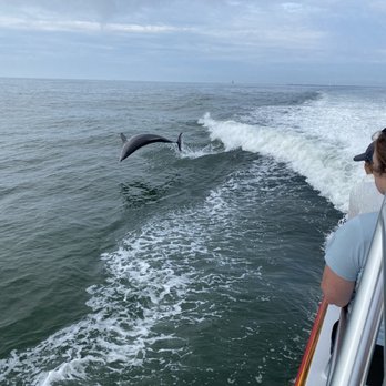 Thundercat Dolphin Watch - Dolphin - Boating Near Me - Wildwood Crest, New Jersey Thundercat Dolphin Watch - Dolphin - Boating Near Me - Wildwood Crest, New Jersey
