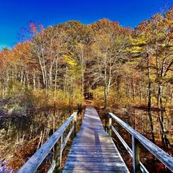 Norris Reservation