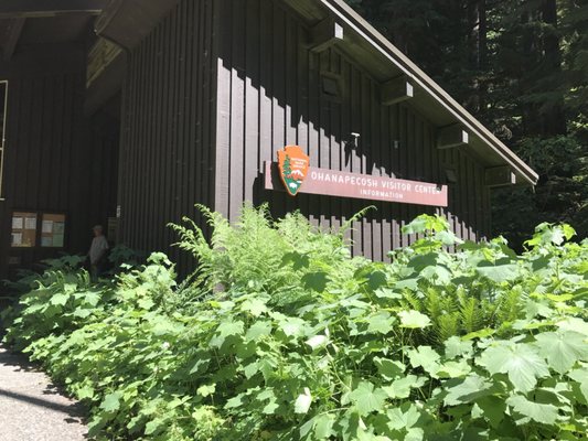 Ohanapecosh Campground by null