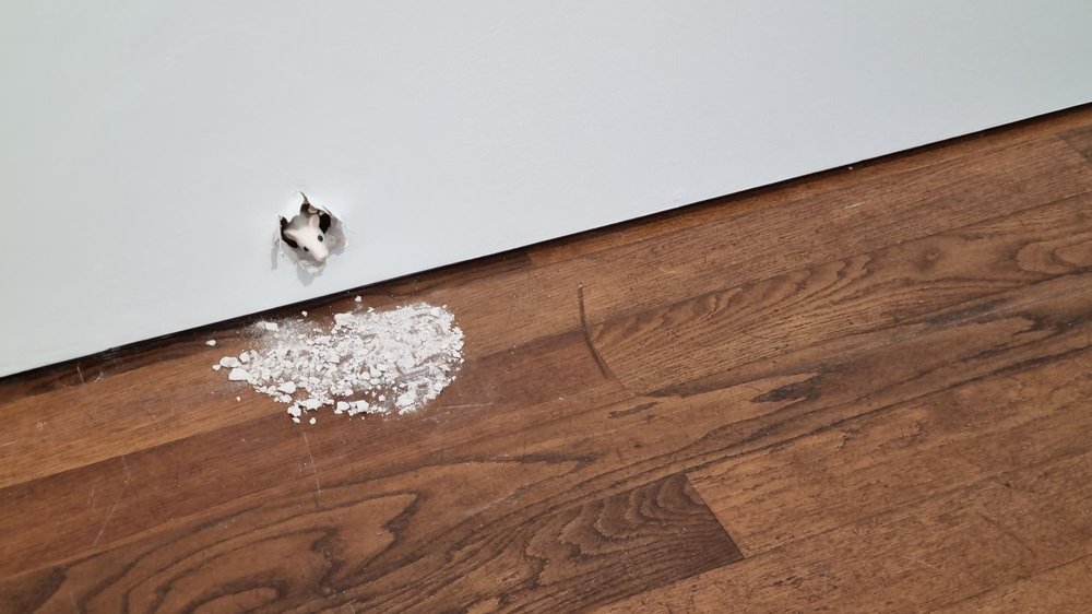 Museum Frieder Burda