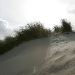 Barbara Könnecke