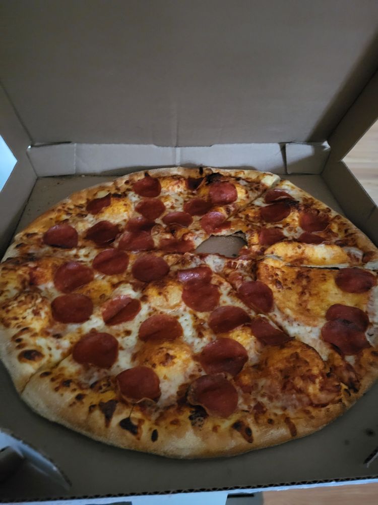 Domino's Pizza Logo