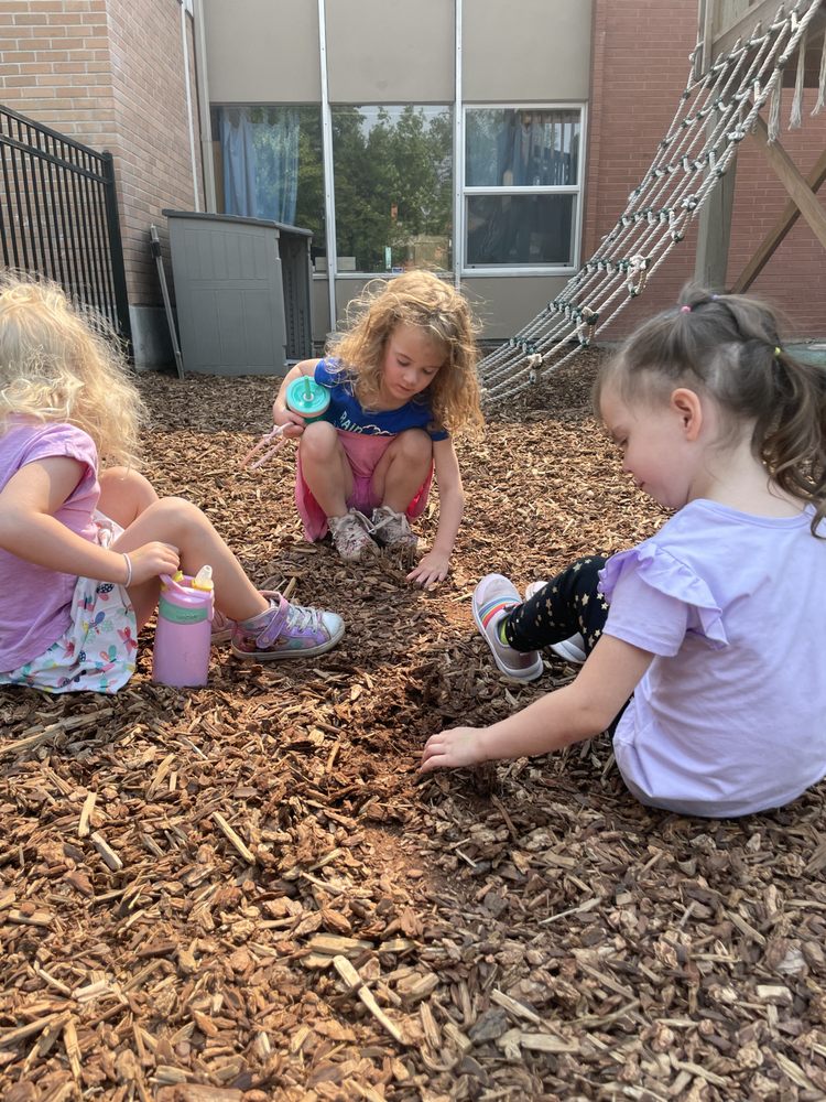 Missoula Community School - childcare center in Missoula, MT