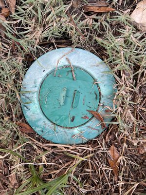 Sureguard Termite & Pest Services