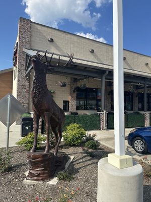 Fuel City Wylie by null