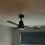Photo of Muza Electric