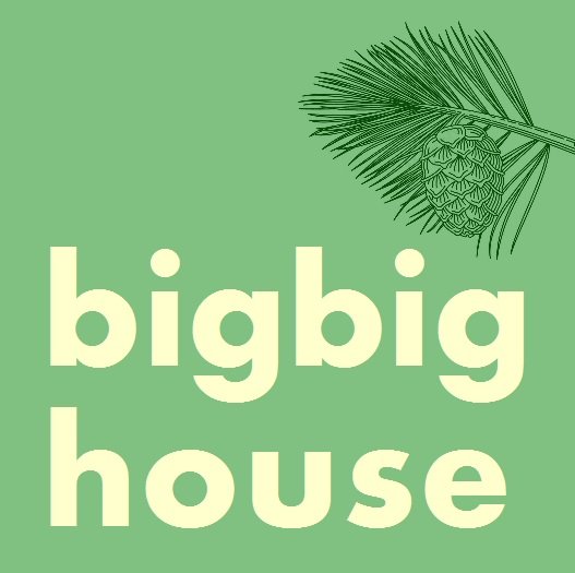 Bigbighouse - social services organization in Madison, WI
