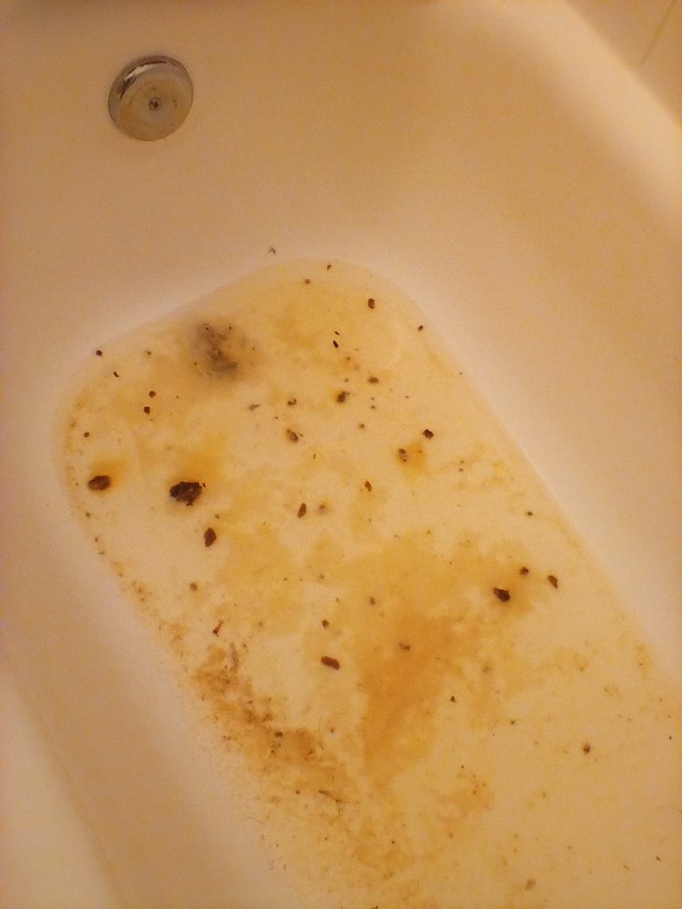 ALAMO GARDEN APARTMENTS Updated May 2024 35 Photos & 16 Reviews